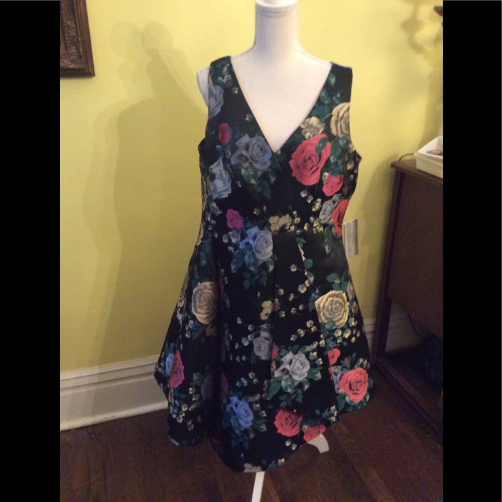 Tahari Black Floral Fit-and-Flare Dress with Multicolor Roses